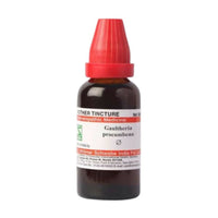 Thumbnail for Dr. Willmar Schwabe India Gaultheria Procumbens Mother Tincture Q - Distacart