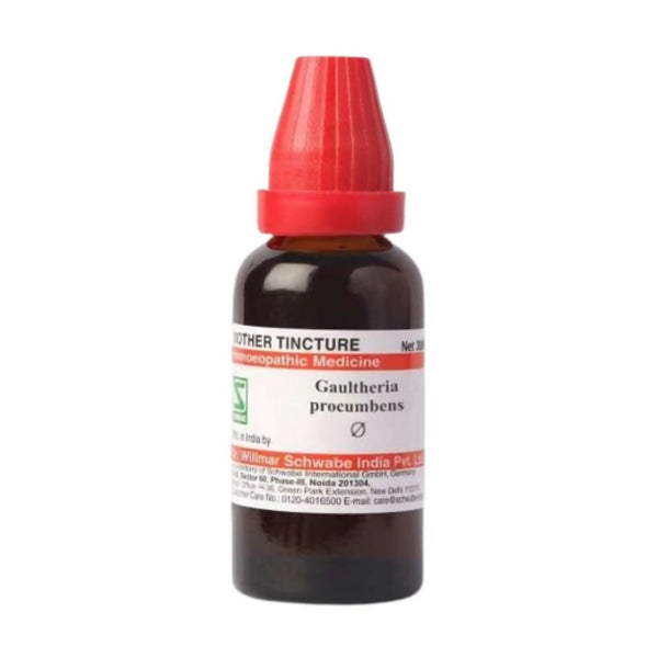 Dr. Willmar Schwabe India Gaultheria Procumbens Mother Tincture Q - Distacart