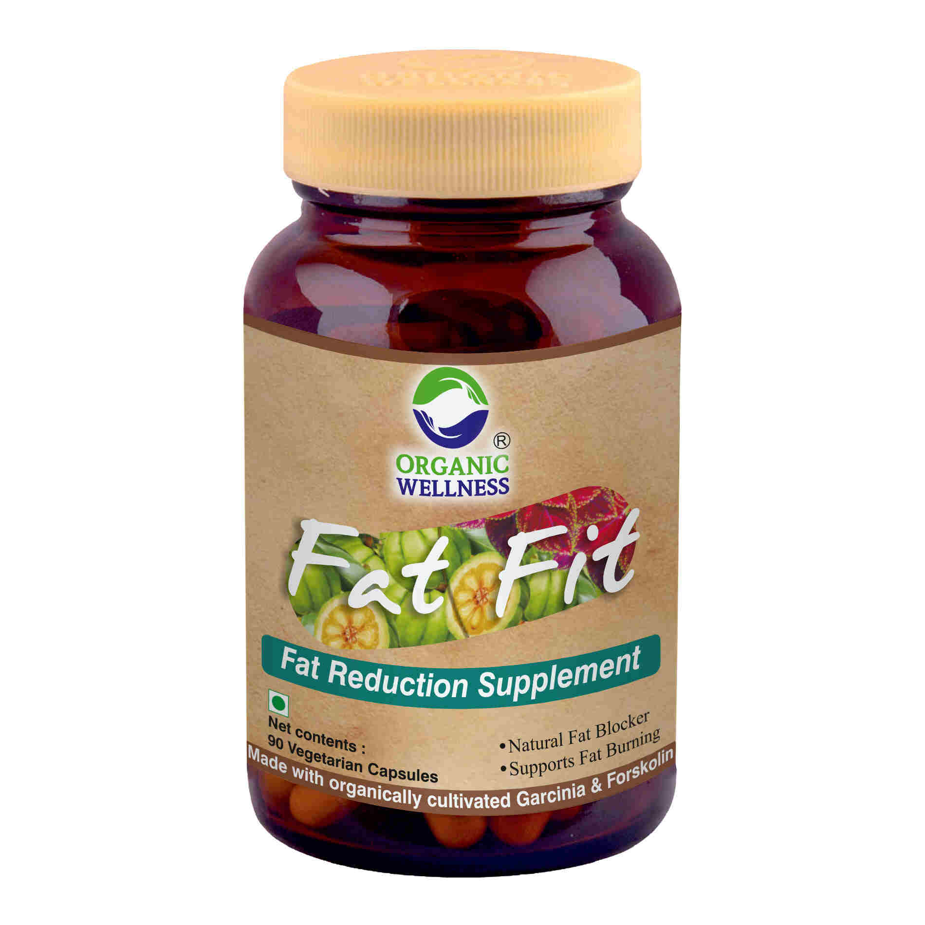 Organic Wellness Ow'heal Fat-Fit - Distacart