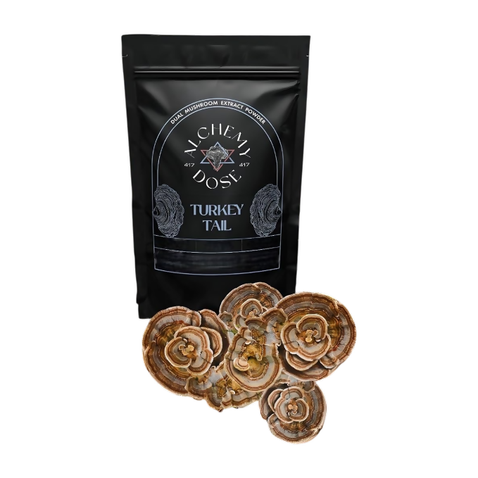 Alchemy Dose - Turkey Tail Mushroom Extract Powder - Distacart