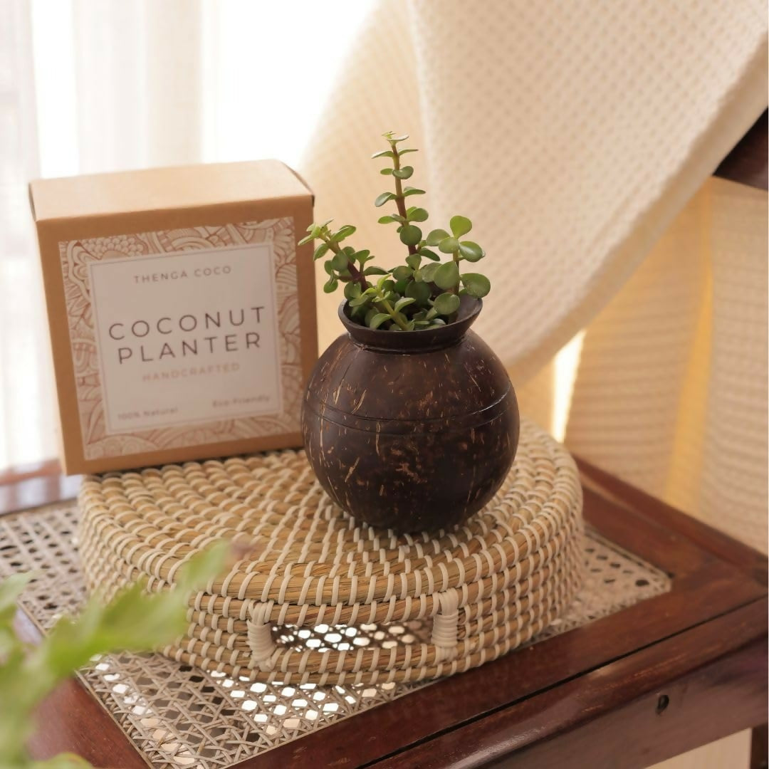 Thenga Handmade Coconut Shell Planter Pot with Cork Tray - Dista
