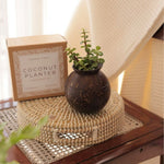 Thumbnail for Thenga Handmade Coconut Shell Planter Pot with Cork Tray - Dista