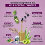 Thumbnail for Sesa Ayurvedic Diabfix Juice with Karela Jamun Juice - Distacart