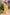 Yellow Pure Linen Ethnic Motifs Saree with Unstitched Blouse - A2M