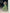 Lehenga Mart Designer Wedding Lehenga Choli For Women - Parrot Green - Distacart