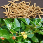Thumbnail for Village Organica Ashwagandha Powder - Dista