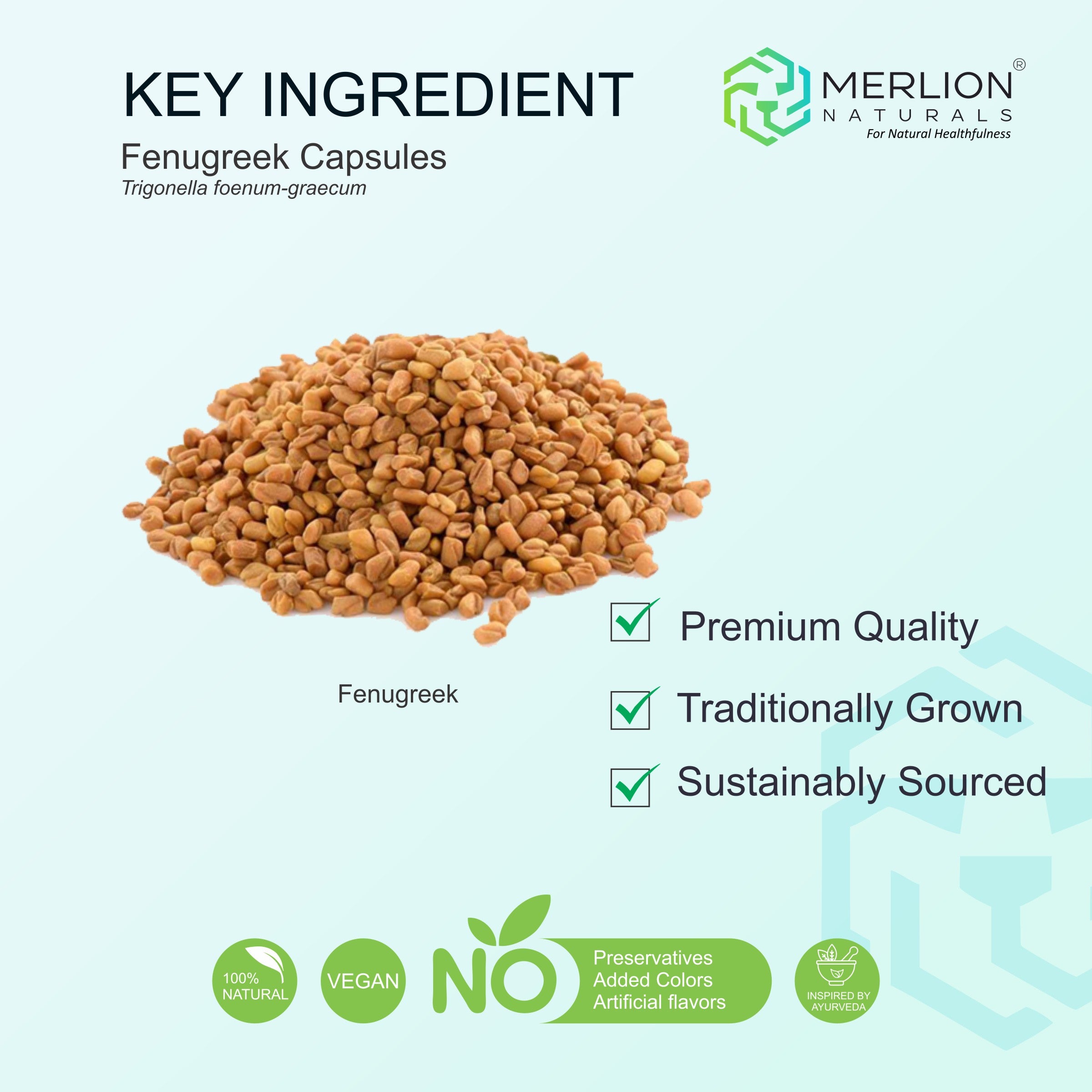 Merlion Naturals Fenugreek 500mg Capsules - Dista