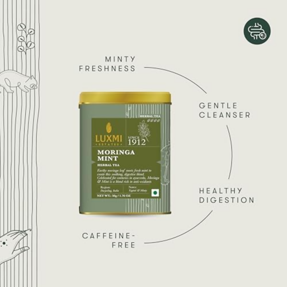 Luxmi Estates Moringa Mint Herbal Infusion - Dista