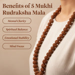 Thumbnail for Pujashree Rudraksh Mala Large – Traditional Prayer Mala for Spiritual Healing, Chanting & Devotion - Dista