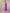Jyoti Fashion Women's Purple Rayon Embroidery & Sequence work Kurta with Trouser & Dupatta - Distacart