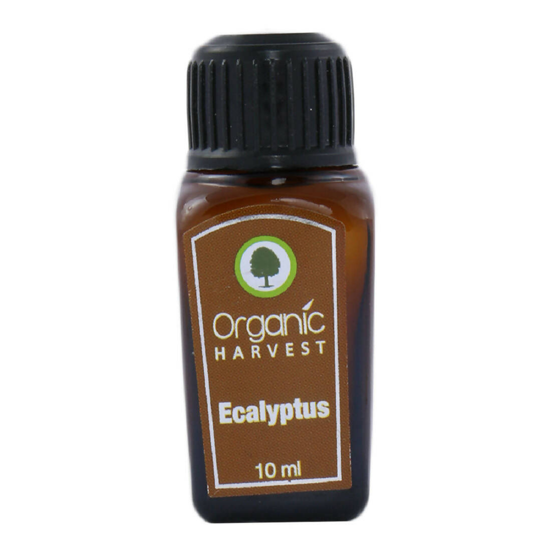 Organic Harvest Eucalyptus Essential Oil - Distacart