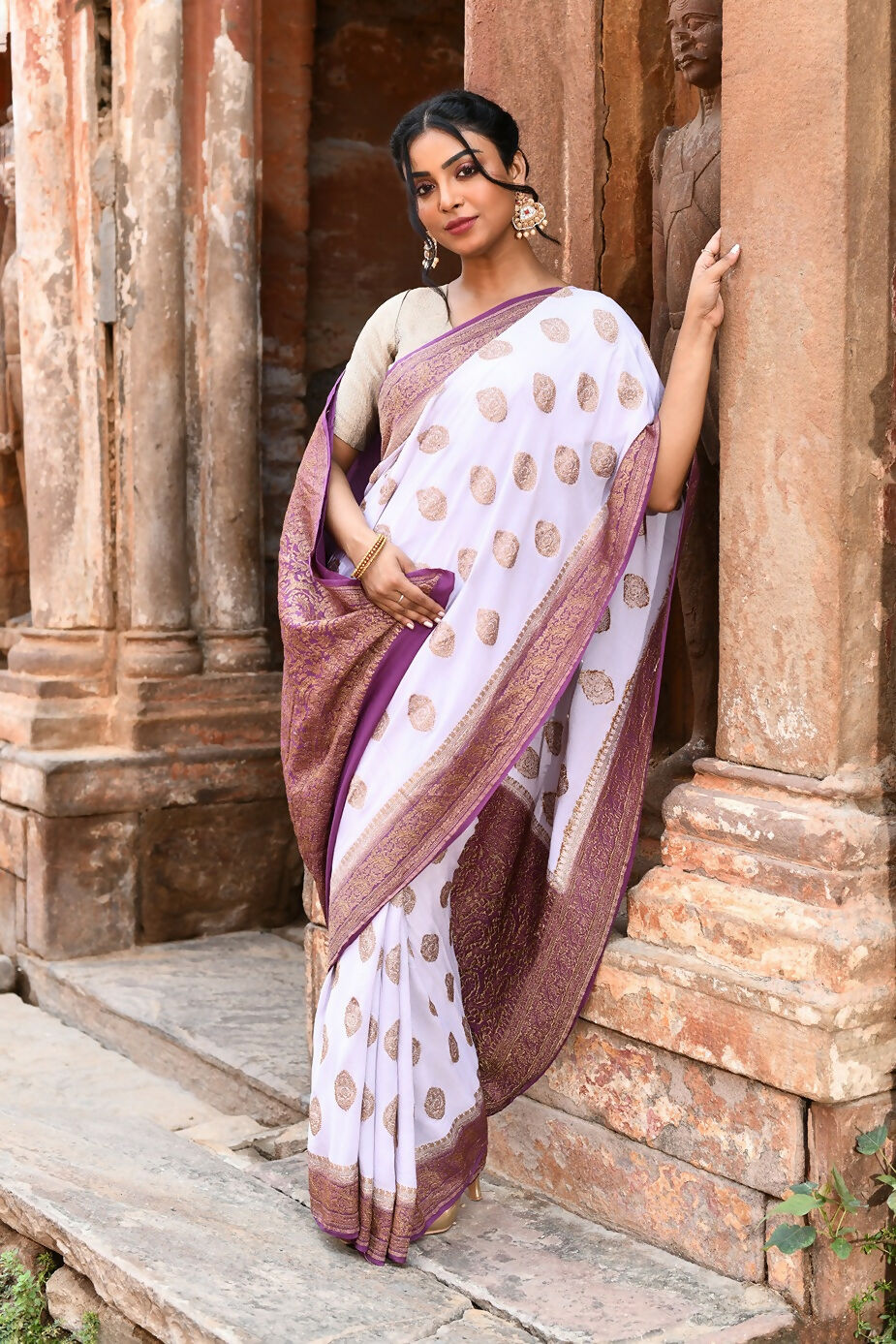 Joban Fashion Light Purple Crepe Chiffon Pure Handloom Banarasi Silk Saree
