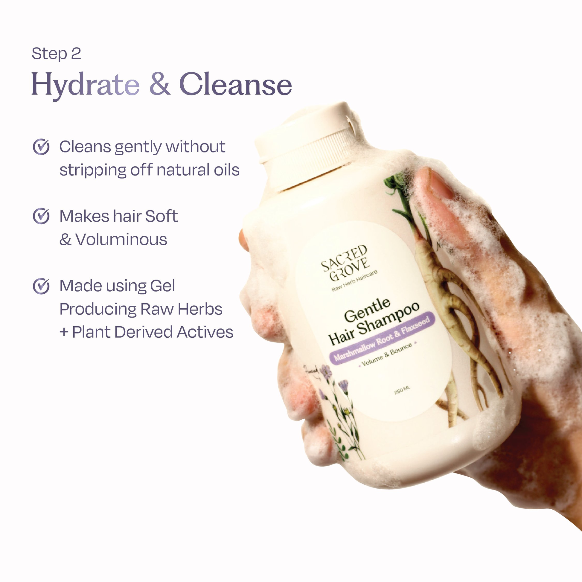Sacred Grove Condition Cleanse Repair - Distacart