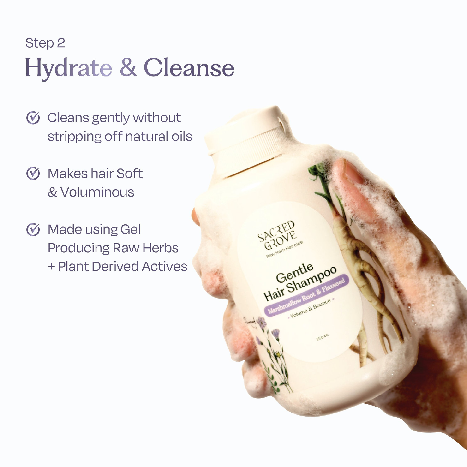 Sacred Grove Anti-Dandruff Combo - Distacart