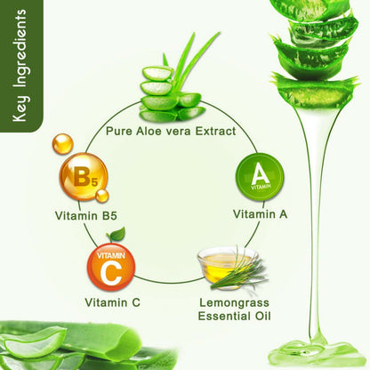 Dravida Organics Aloe Vera Revitalizing Night Cream - Dista