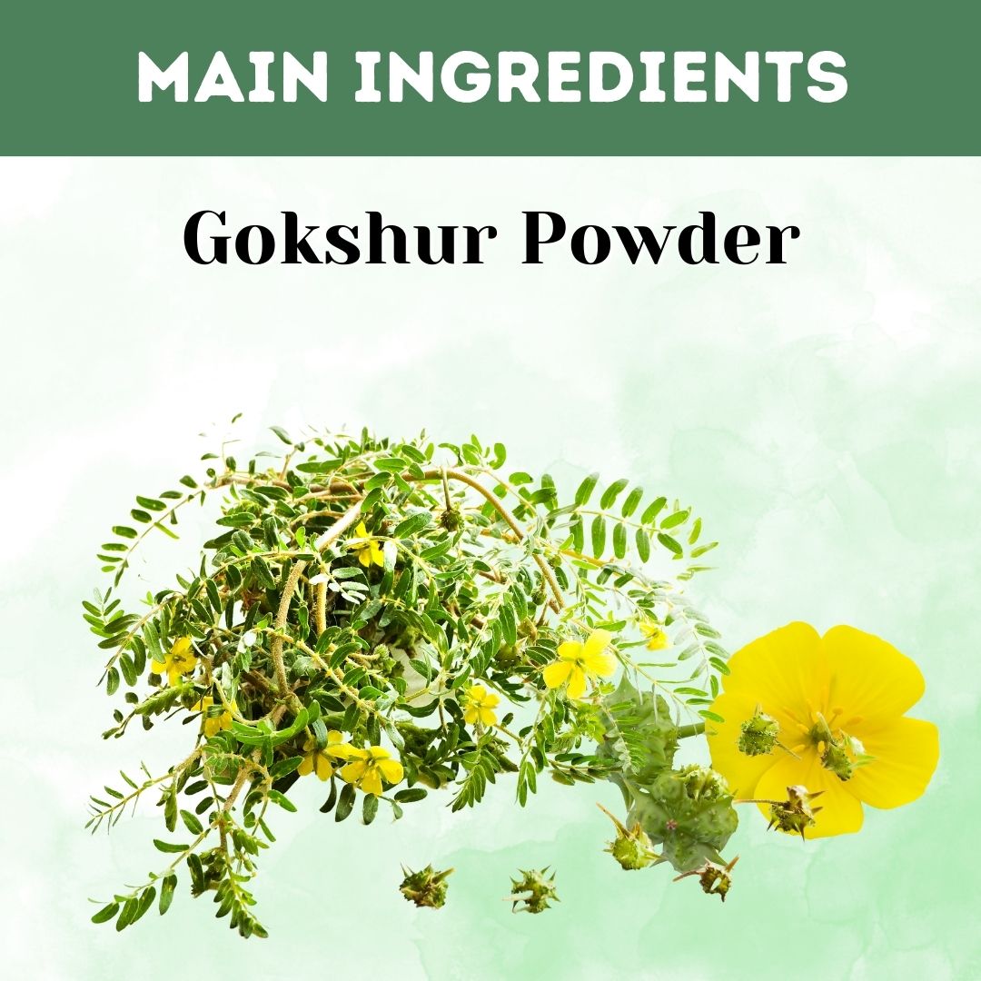 Herbal Hills Gokshur Powder - Distacart