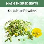 Thumbnail for Herbal Hills Gokshur Powder
