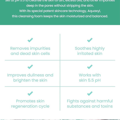AXIS-Y Sunday Morning Refreshing Cleansing Foam - Distacart