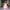 Lehenga Mart Navratri Lehenga Choli - MultiColor - Distacart