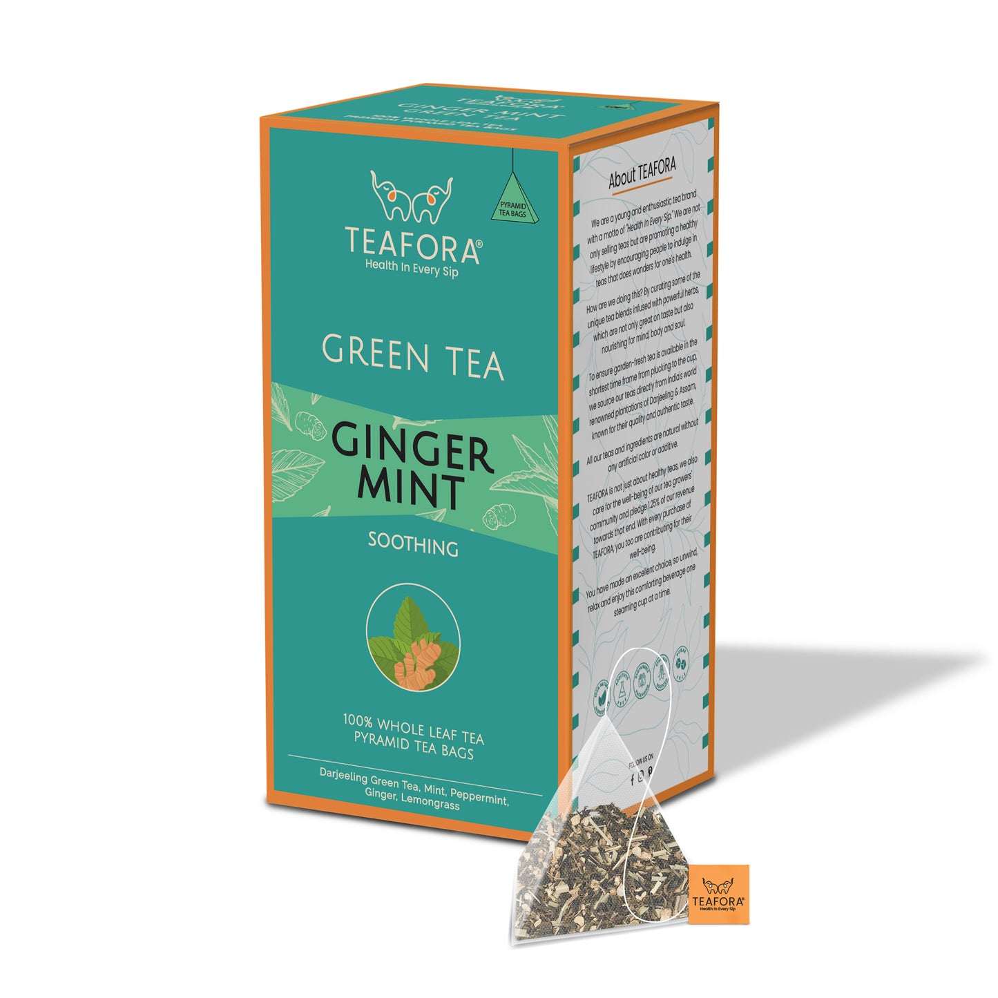 TEAFORA Ginger Mint Green Tea | 20 Count Pyramid Tea Bags - Dista