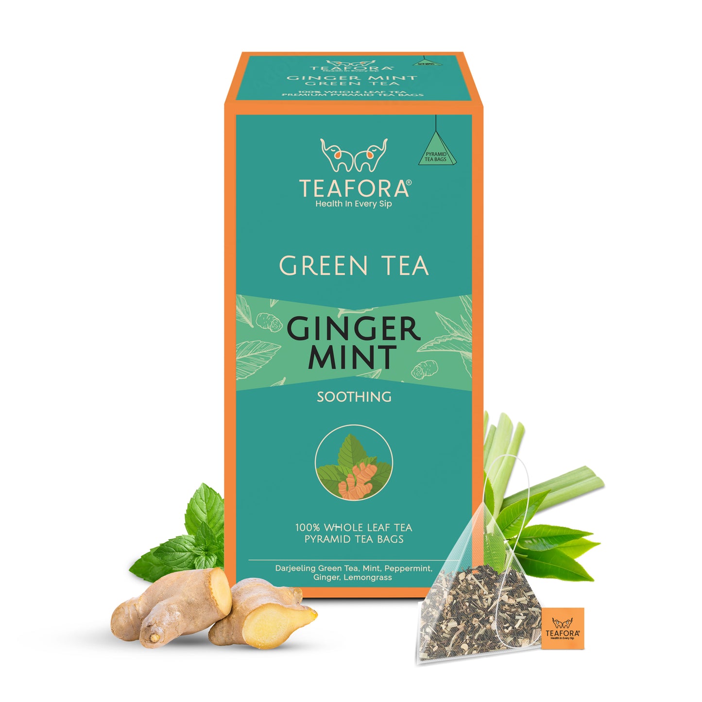 TEAFORA Ginger Mint Green Tea | 20 Count Pyramid Tea Bags - Dista