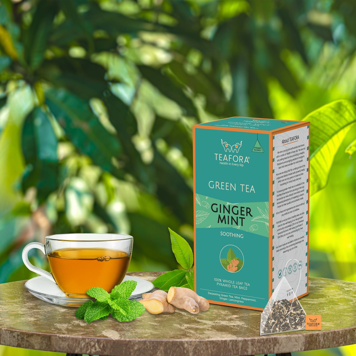 TEAFORA Ginger Mint Green Tea | 20 Count Pyramid Tea Bags - Dista