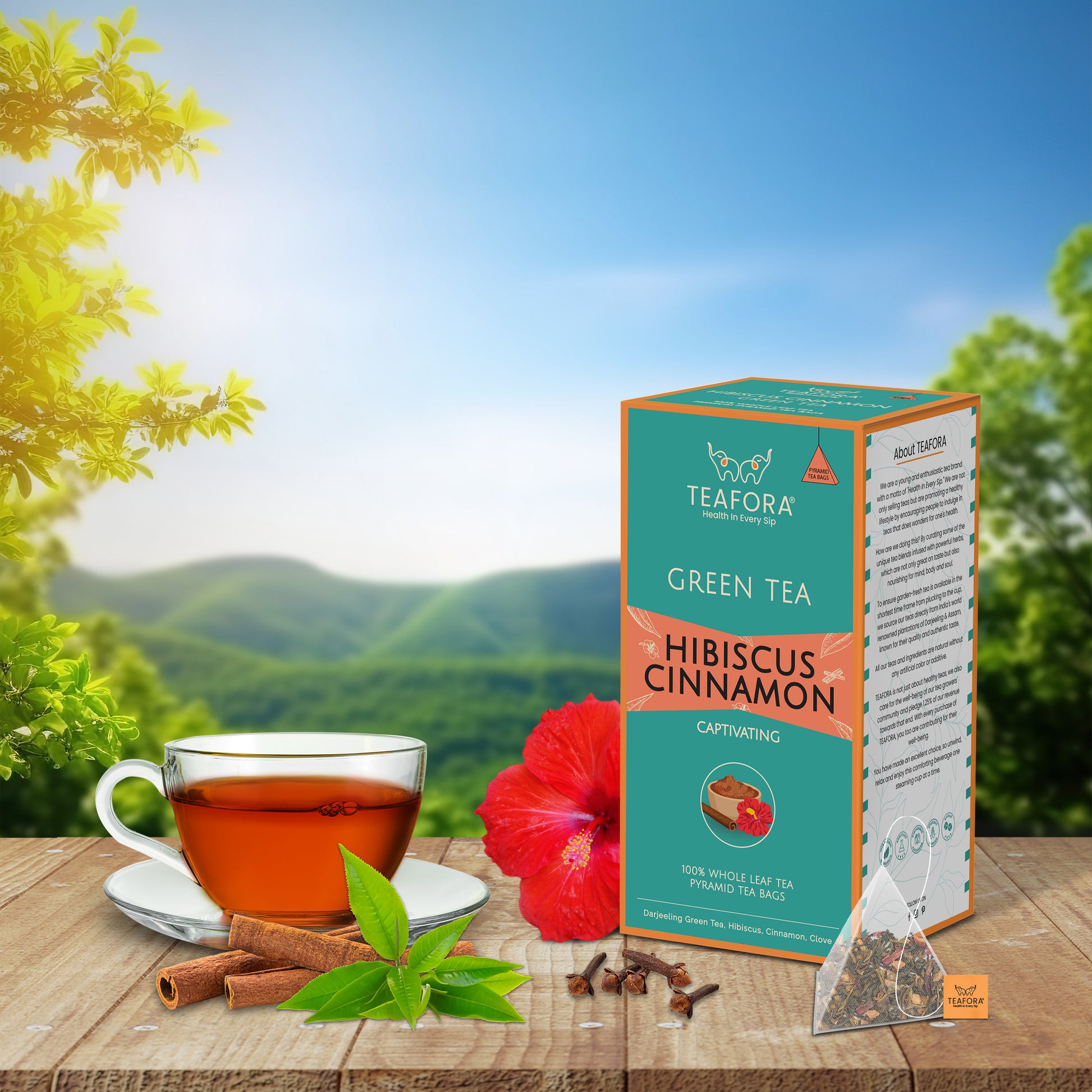 TEAFORA Hibiscus Cinnamon Green Tea | 20 Count Pyramid Tea Bags - Dista