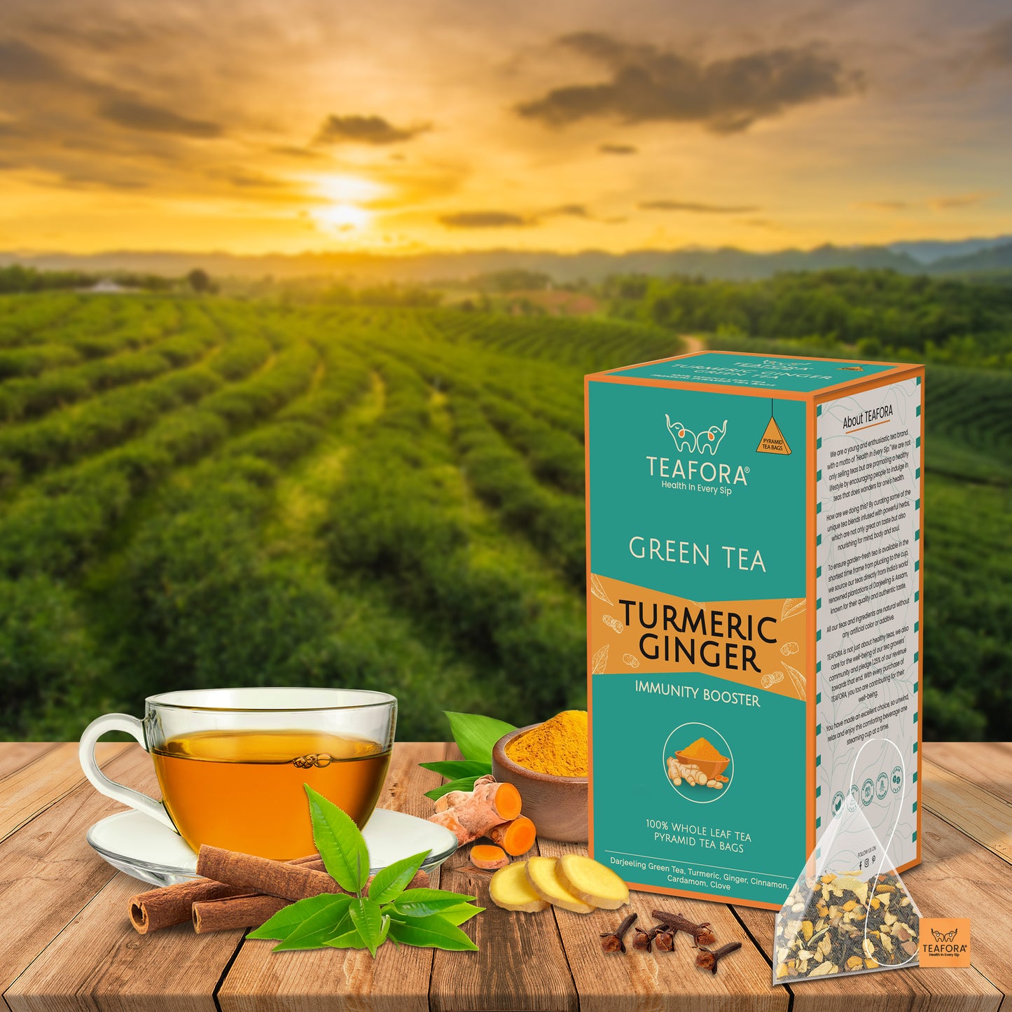 TEAFORA Turmeric Ginger Green Tea | 20 Count Pyramid Tea Bags - Dista