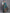Astita Silk Teal Blue Saree