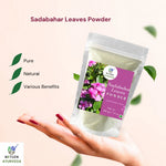 Thumbnail for Nxtgen Ayurveda Sadabahar Leaves Powder