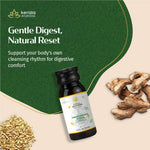 Thumbnail for  A promotional banner for Gandharvahastadi Castor Oil, titled 
