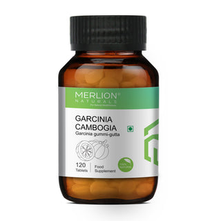 Merlion Naturals Garcinia Cambogia 500mg Tablets - Distacart