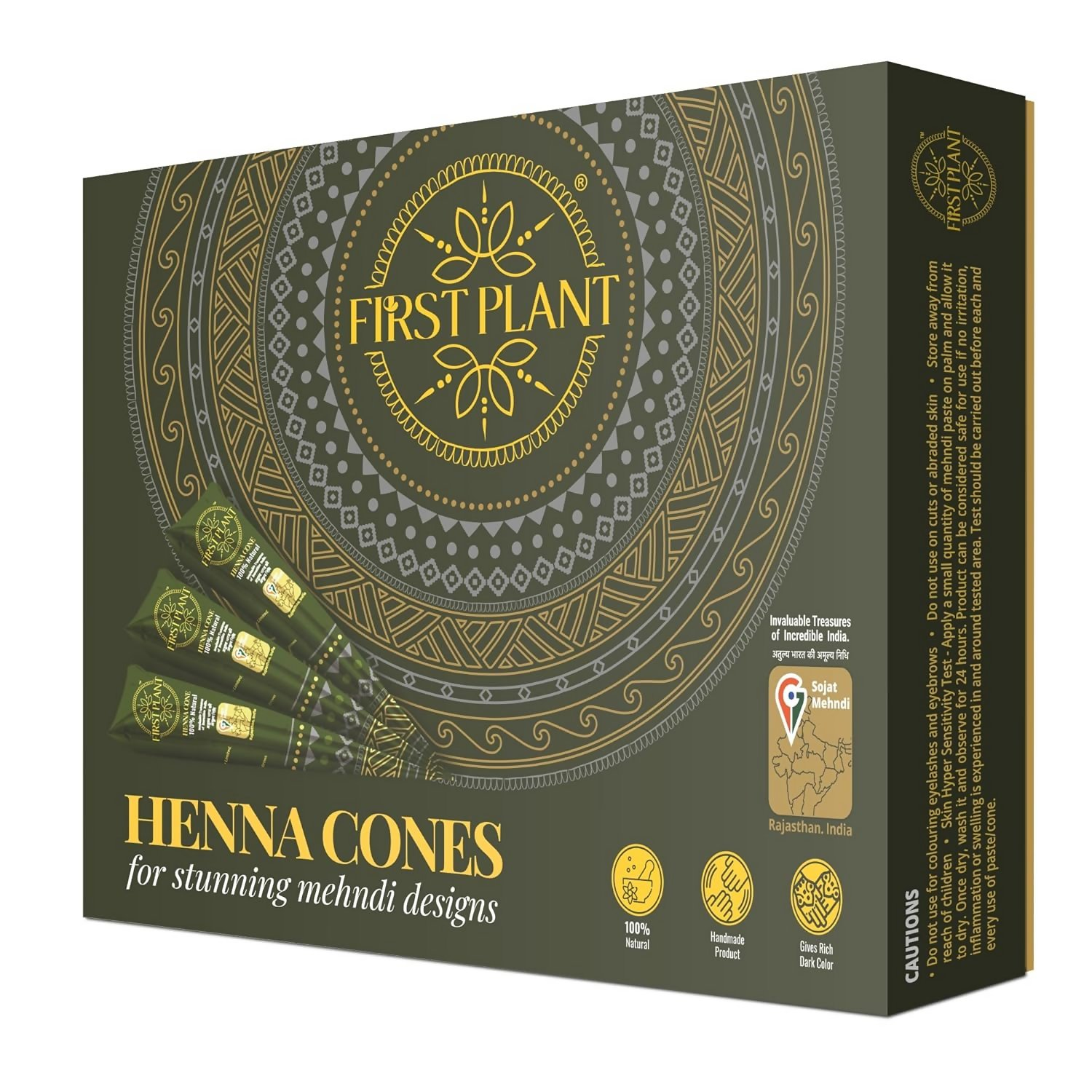 First Plant Premium Rajasthani Organic Henna Cone For Body Art - Distacart