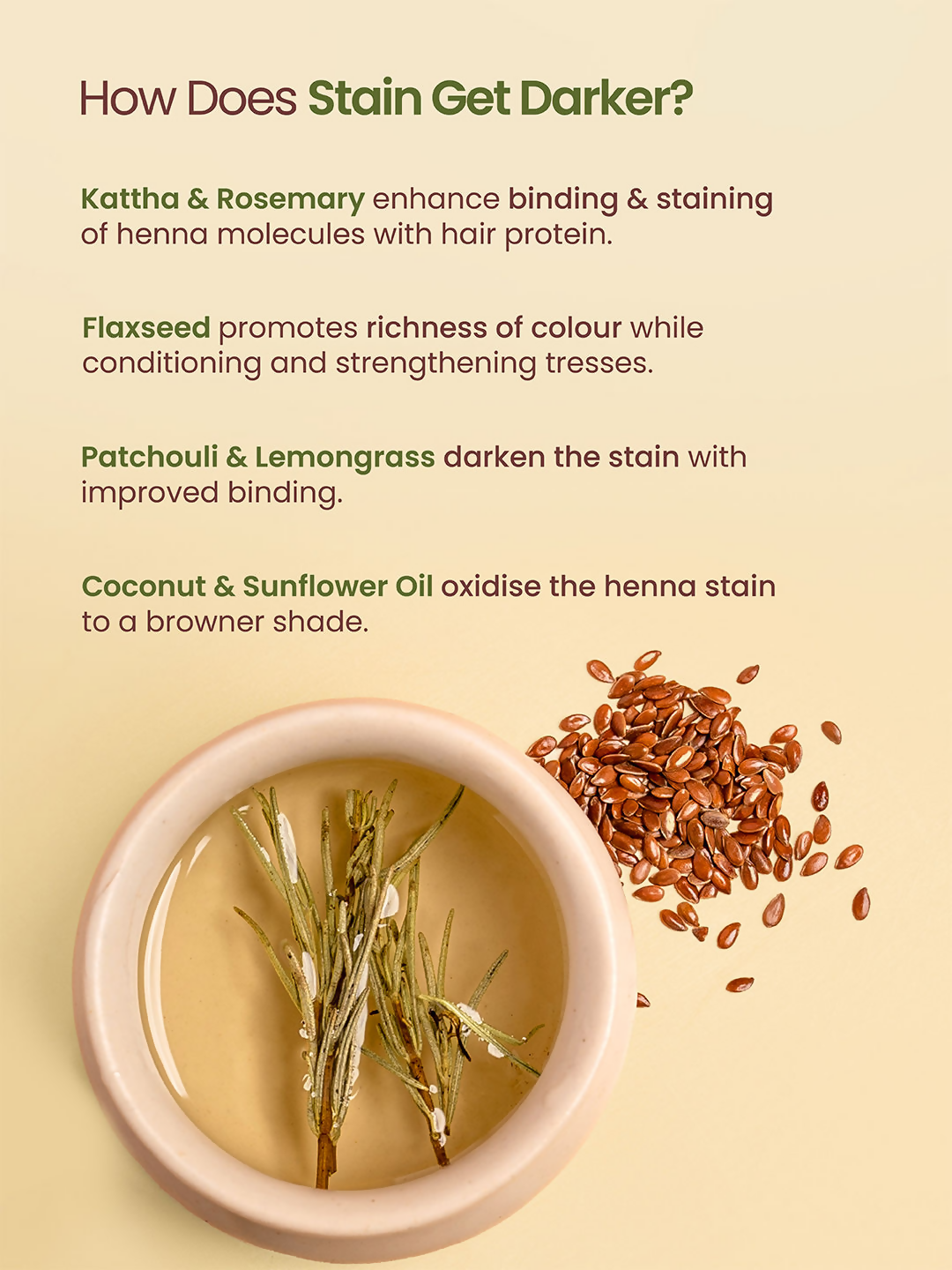 download - 2025-02-11T143540.681