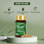 Thumbnail for Jagat Pharma Giloy Extract Plus Capsule | Immunity Booster
