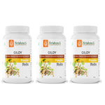 Thumbnail for Krishna'S Herbal & Ayurveda Giloy Powder