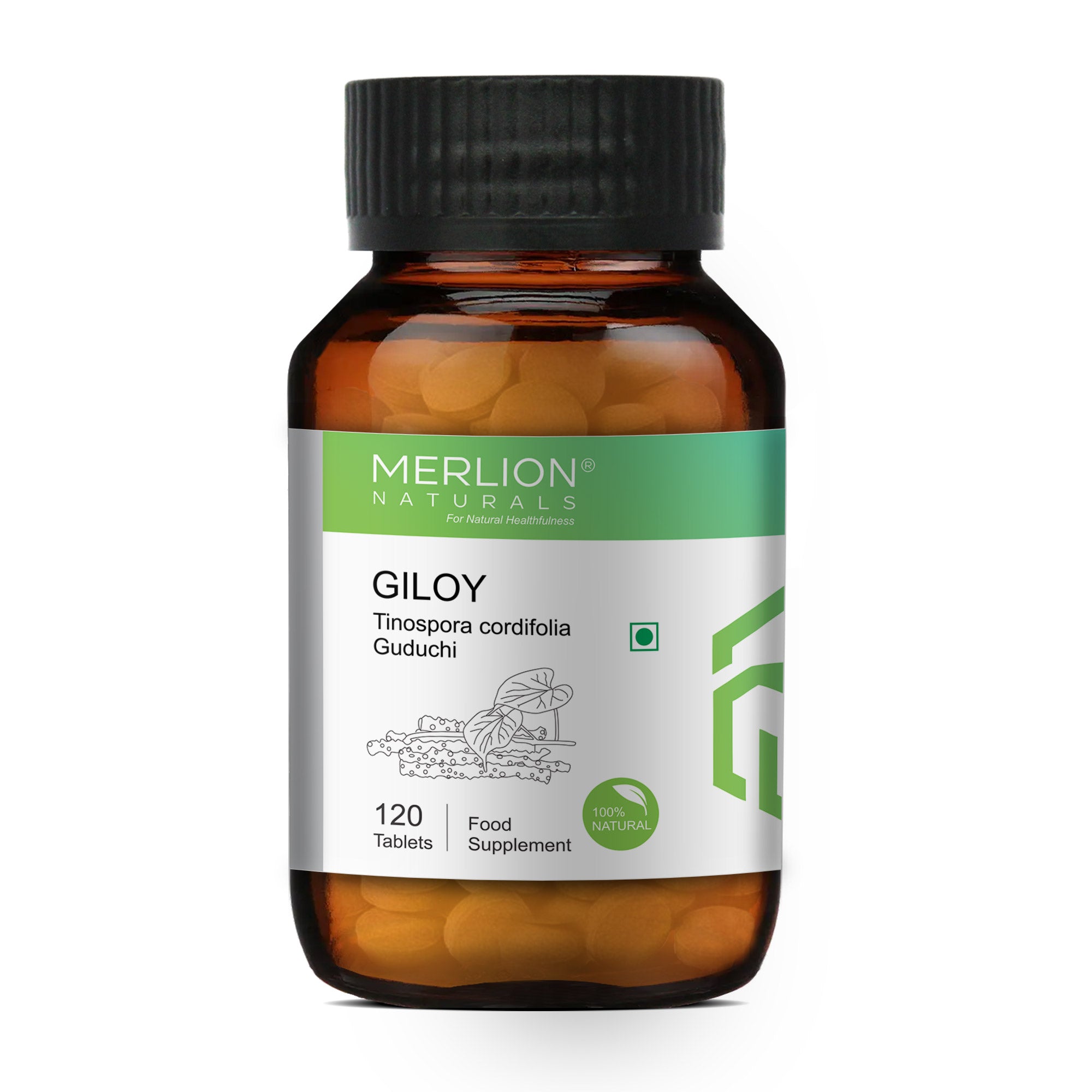 Merlion Naturals Giloy 500mg Tablets - Distacart