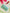 Joban Fashion Bridal Purse - Green