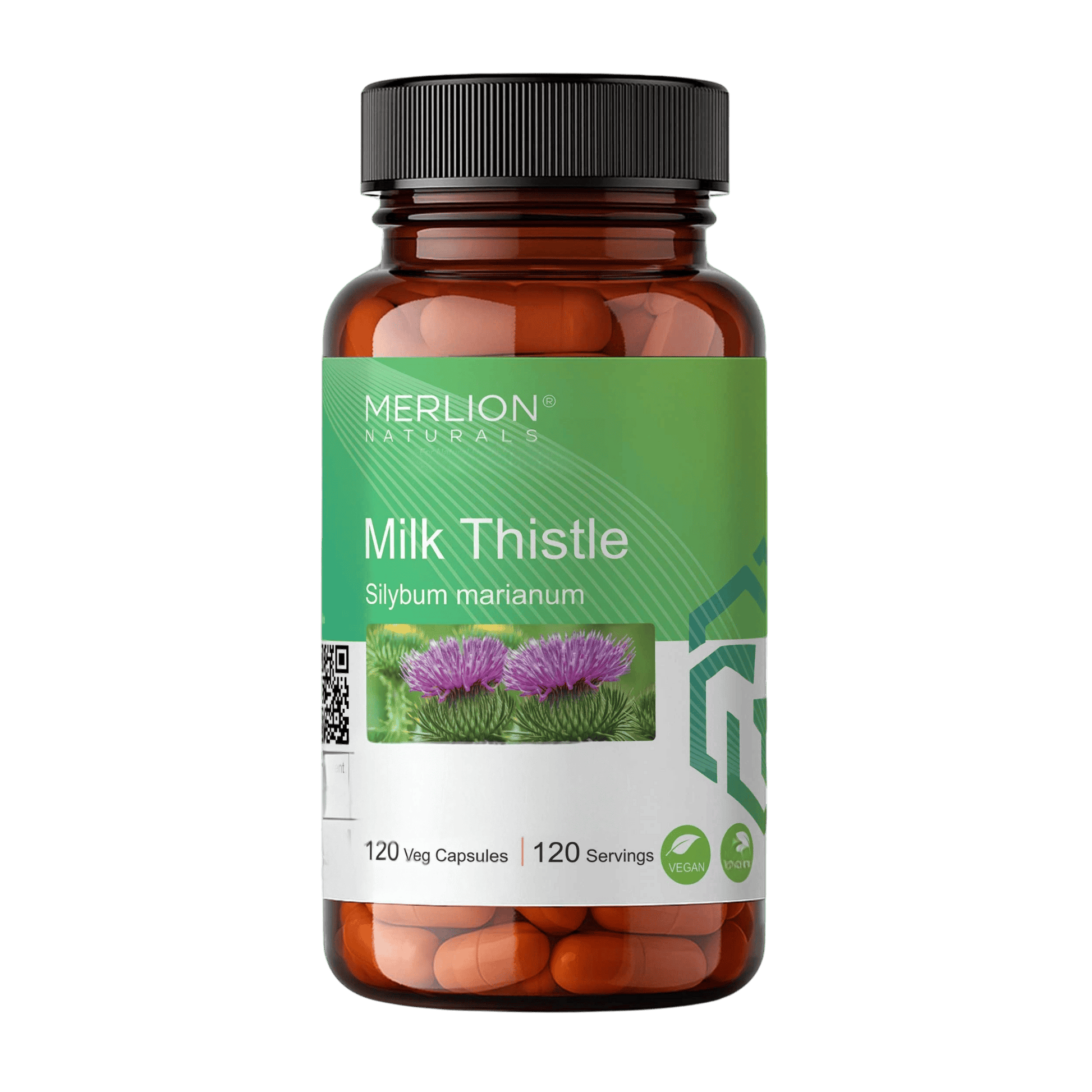 Merlion Naturals Milk Thistle 500mg Capsules - Dista