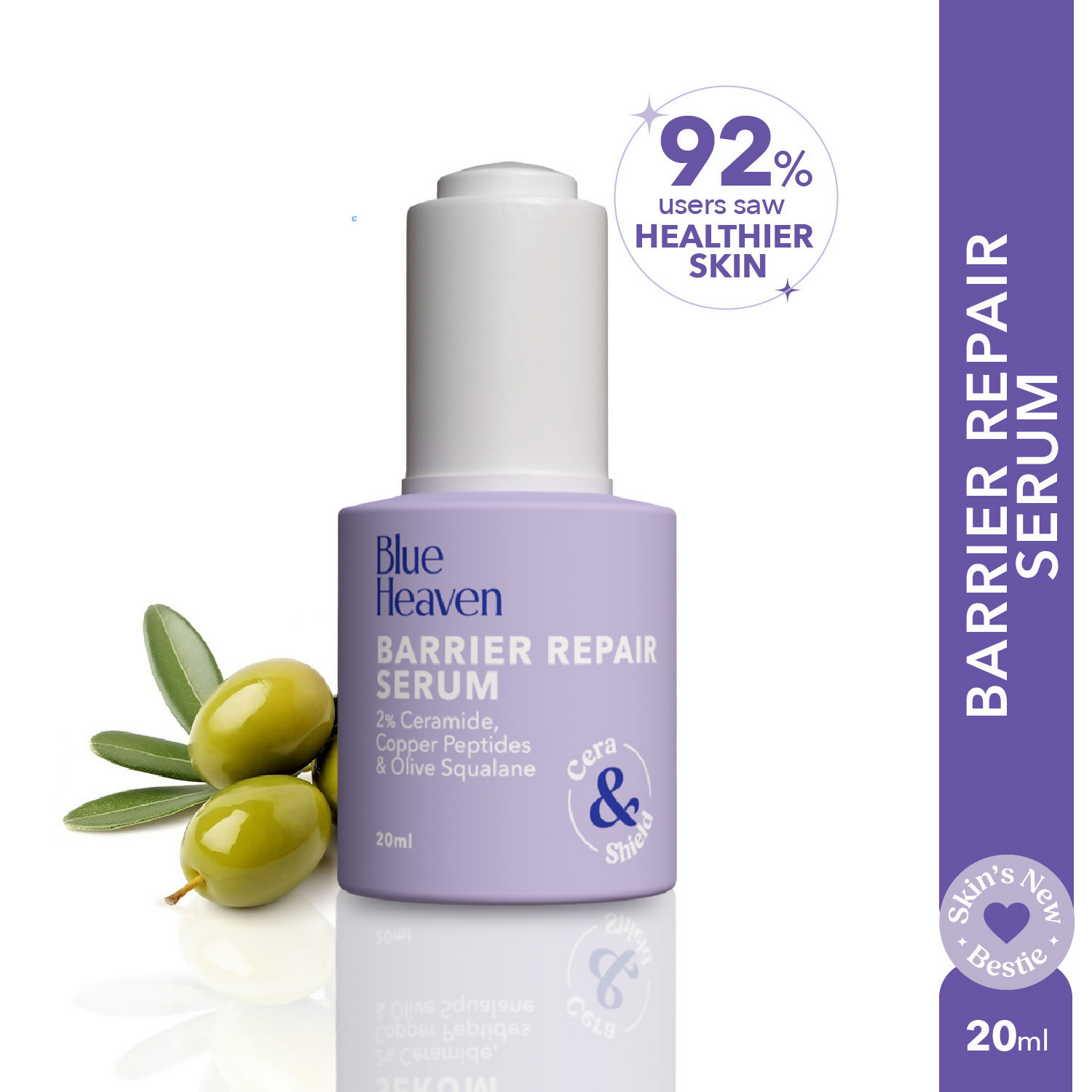 download - 2025-02-21T122351.029