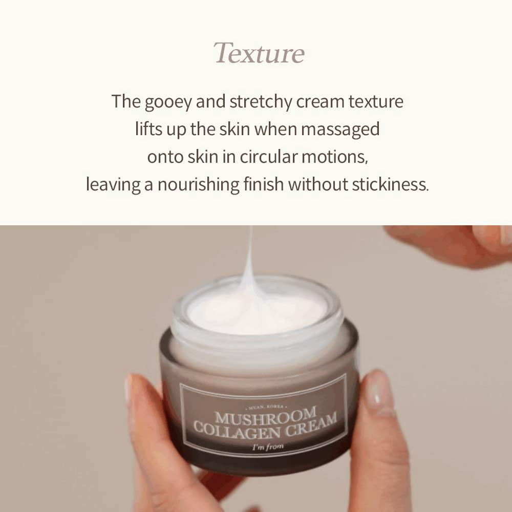 download - 2024-11-08T174128.037