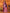 Joban Fashion Banarasi Purple Woven Soft Silk Saree