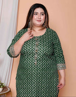 Thumbnail for Miravan Womens Plus Size Green Zigzag Print Embroidery Rayon Straight Kurta - Distacart