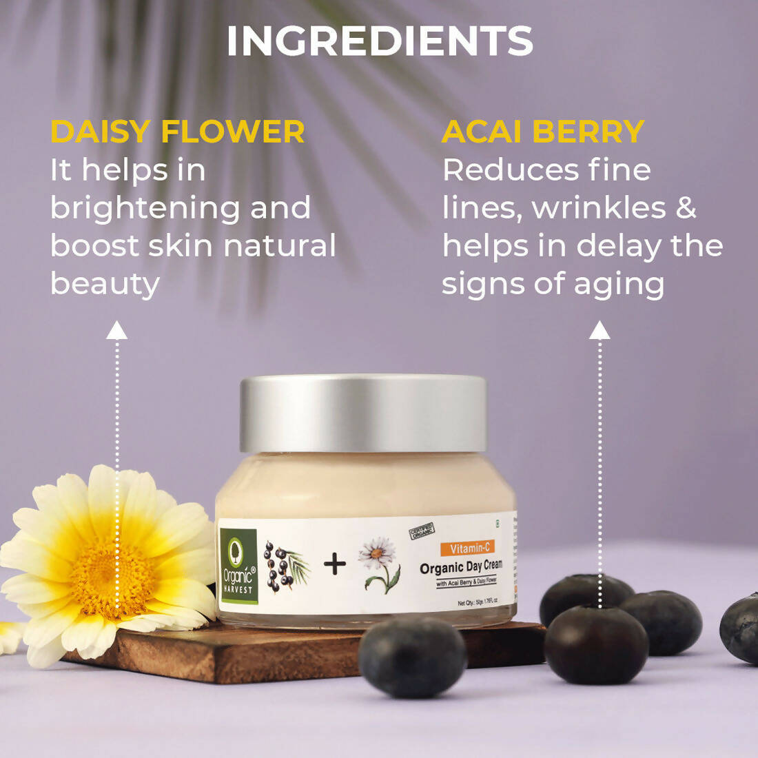 Organic Harvest Vitamin C Organic Day Cream - Distacart