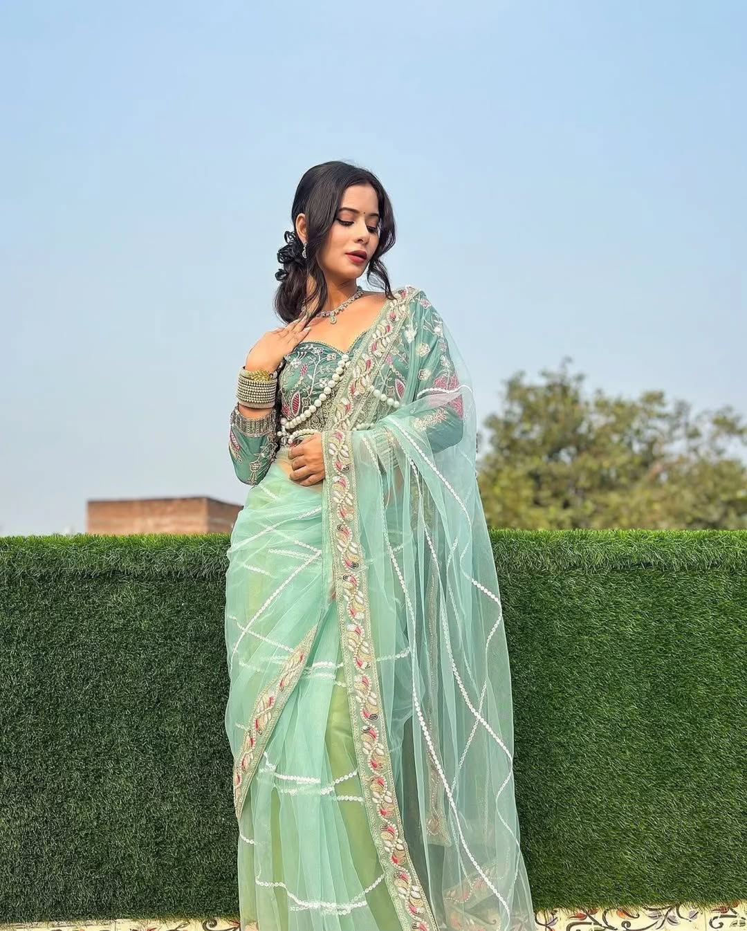 Teeya Creation Light Green Color Net Fabric Pearl Work Heavy Embroidery Work Saree - Distacart