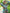 Yufta Green and Turquoise Blue Printed Satin Co-Ords