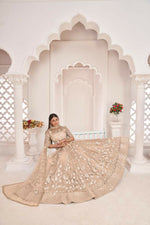 Thumbnail for Aastha Fashion Dusty Chiku Butterfly Net White Cotton Thread Work, Zari Work And Sandwich Sequence Work Embroidery Wedding Wear Lehenga Choli - Distacart