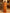 J4746MUSTARD (1)-2000x2666