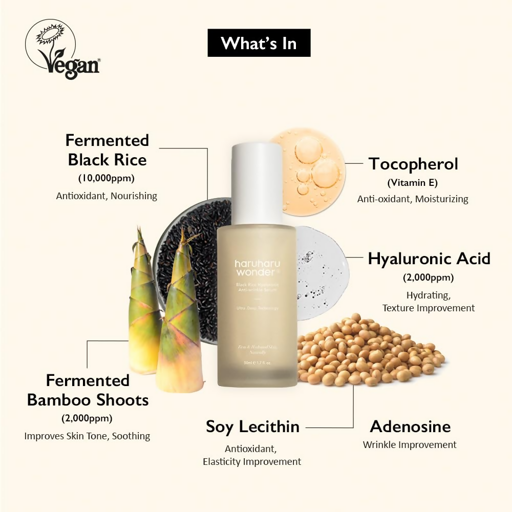 download - 2024-11-09T150124.541