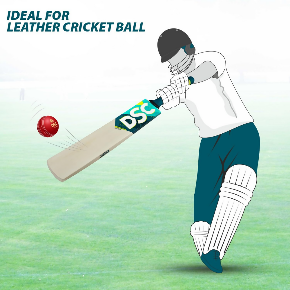 DSC Belter Wood Kashmir Willow Cricket Bat - Dista
